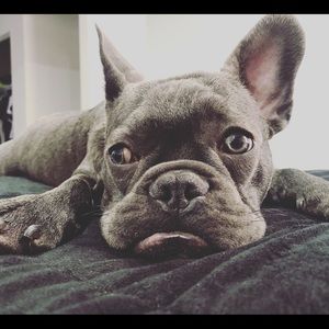 Meet your Posher, Natalia